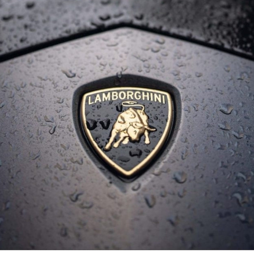 Logo emblème écusson pour Lamborghini