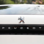 Logo Lion Peugeot Noir et Chrome