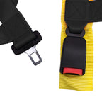 Ceinture de Sécurité Harnais 4 Points Universel pour Siège Baquet