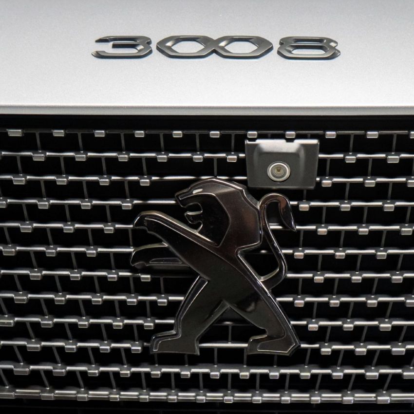 Logo Lion Peugeot Noir et Chrome